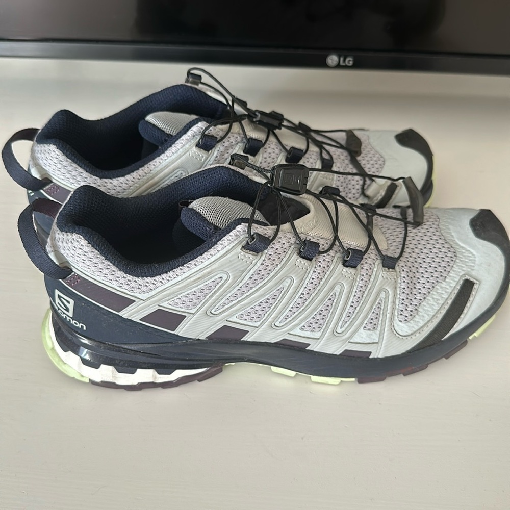 Salomon hiking shoes